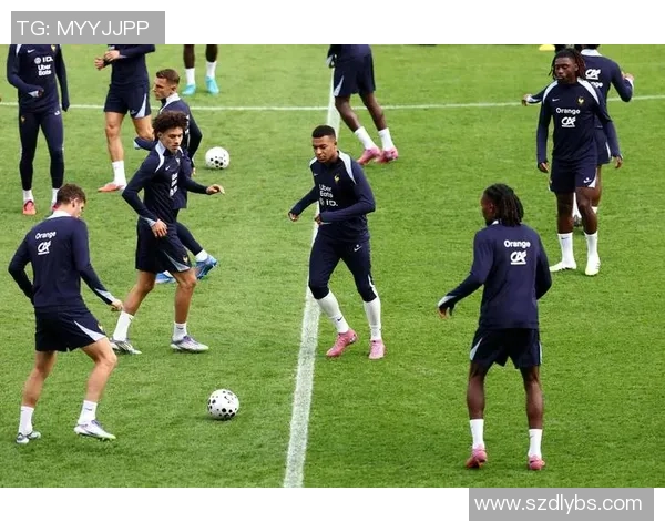 法国前足球球星的人生历程与绿茵传奇全面回顾